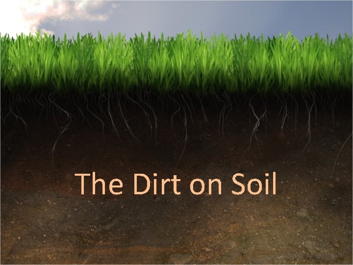 The Dirt on Soil 