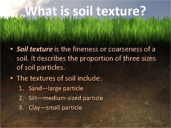 What is soil texture? • Soil texture is the fineness or coarseness of a