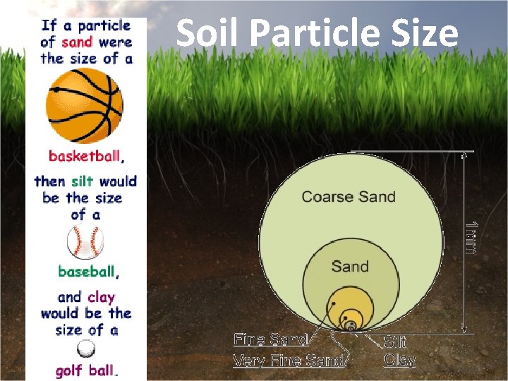 Soil Particle Size 