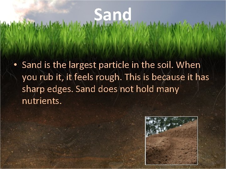 Sand • Sand is the largest particle in the soil. When you rub it,