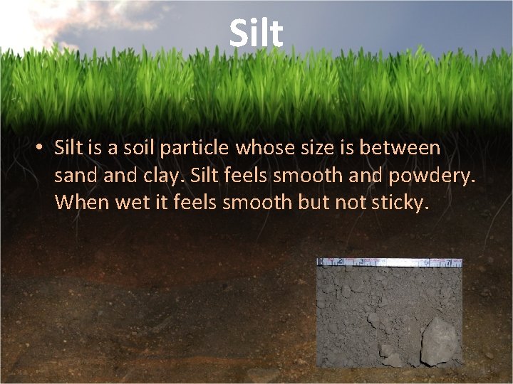 Silt • Silt is a soil particle whose size is between sand clay. Silt