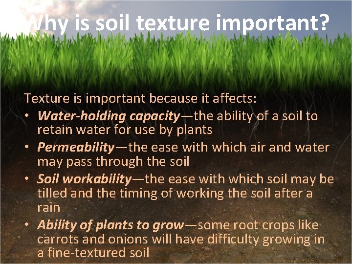 Why is soil texture important? Texture is important because it affects: • Water-holding capacity—the