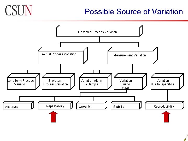 Possible Source of Variation Observed Process Variation Actual Process Variation Long-term Process Variation Accuracy Possible Source of Variation Observed Process Variation Actual Process Variation Long-term Process Variation Accuracy