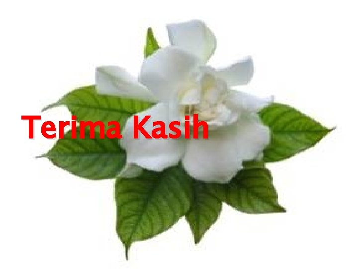 Terima Kasih Terima Kasih