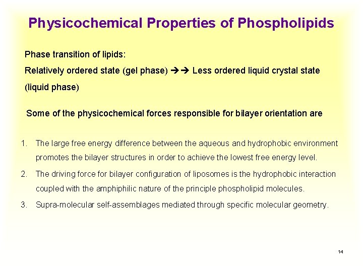 Physicochemical Properties of Phospholipids Phase transition of lipids: Relatively ordered state (gel phase) Less