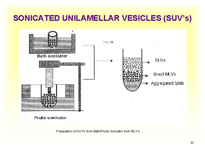 SONICATED UNILAMELLAR VESICLES (SUV’s) Preparation of SUV’s from Bath/Probe Sonicator from MLV’s 22 