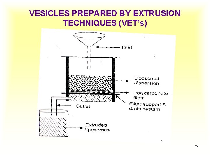 VESICLES PREPARED BY EXTRUSION TECHNIQUES (VET’s) 24 