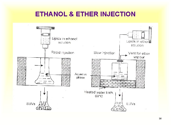 ETHANOL & ETHER INJECTION 25 