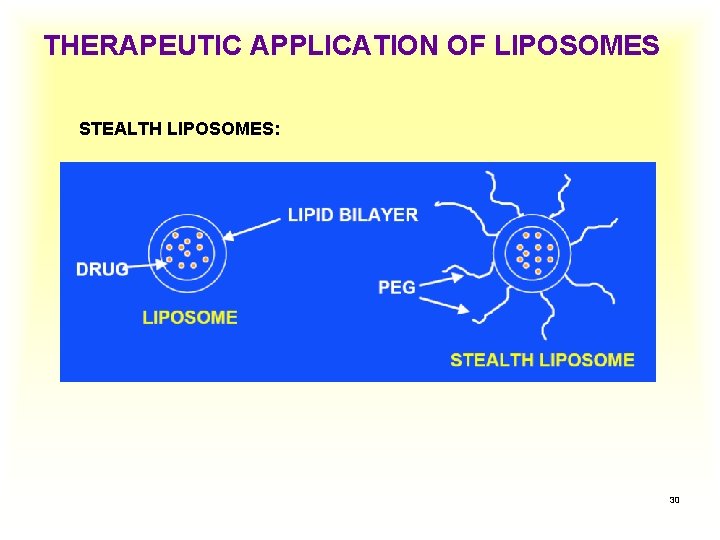 THERAPEUTIC APPLICATION OF LIPOSOMES STEALTH LIPOSOMES: 30 