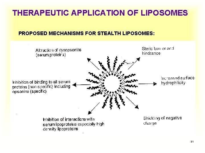 THERAPEUTIC APPLICATION OF LIPOSOMES PROPOSED MECHANISMS FOR STEALTH LIPOSOMES: 31 