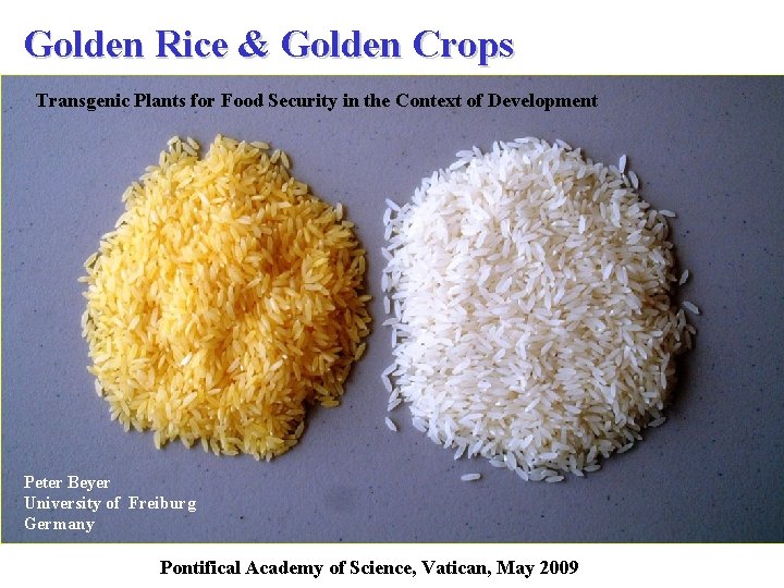 Golden Rice & Golden Crops Transgenic Plants for Food Security in the Context of