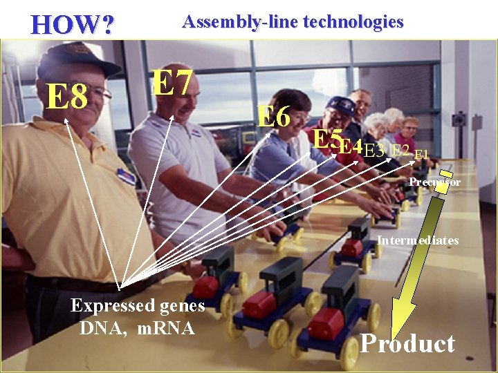 HOW? E 8 Assembly-line technologies E 7 E 6 E 5 E 4 E