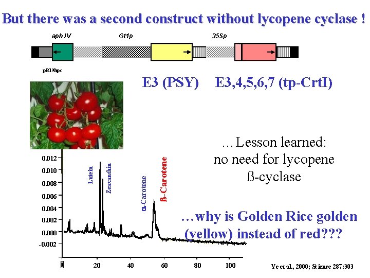 But there was a second construct without lycopene cyclase ! aph IV Gt 1