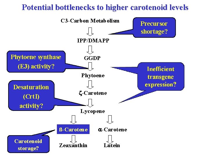 Potential bottlenecks to higher carotenoid levels C 3 -Carbon Metabolism IPP/DMAPP Phytoene synthase (E