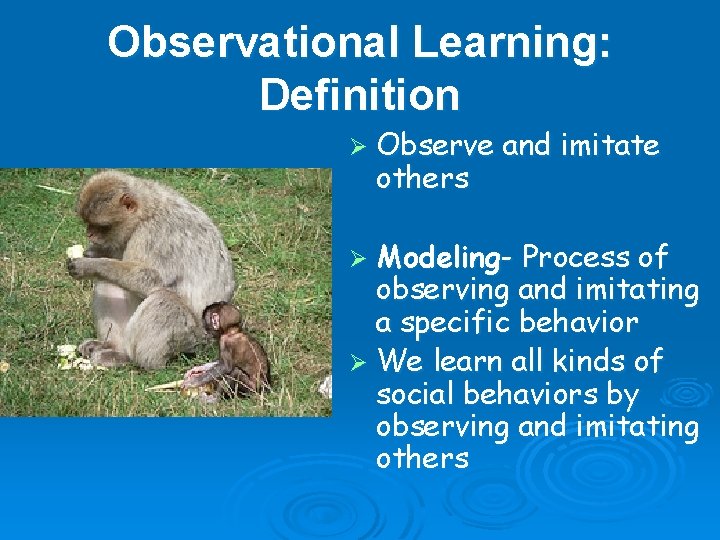 Observational Learning: Definition Ø Observe others and imitate Ø Modeling- Process of observing and