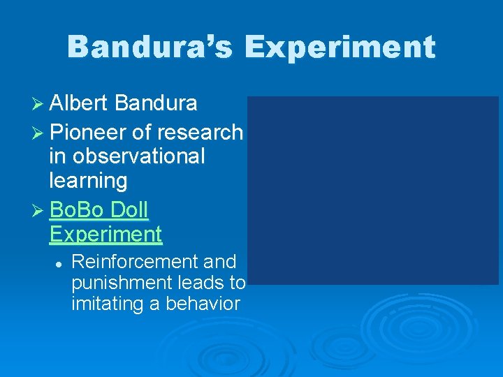 Bandura’s Experiment Ø Albert Bandura Ø Pioneer of research in observational learning Ø Bo.