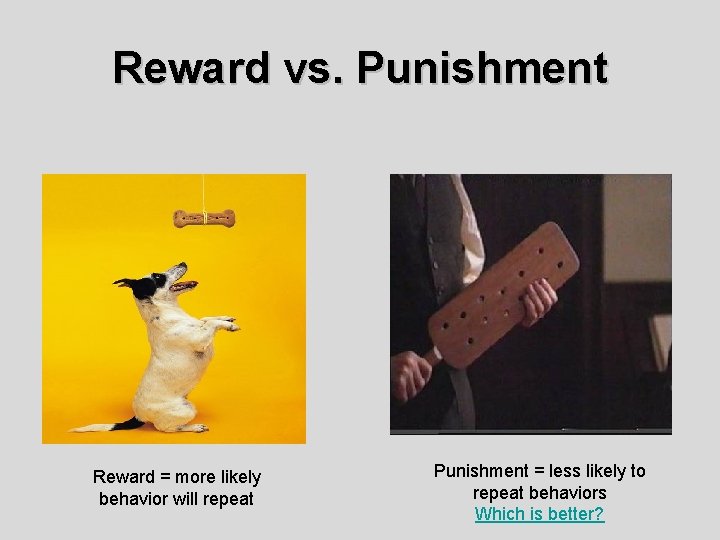 Reward vs. Punishment Reward = more likely behavior will repeat Punishment = less likely