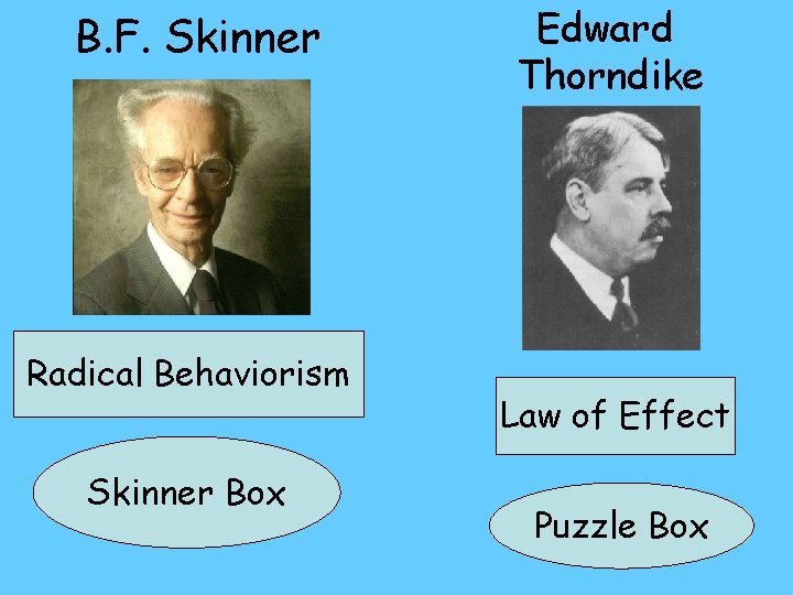 B. F. Skinner Radical Behaviorism Skinner Box Edward Thorndike Law of Effect Puzzle Box