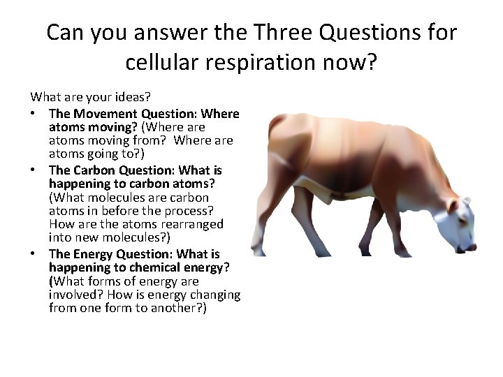 Can you answer the Three Questions for cellular respiration now? What are your ideas?