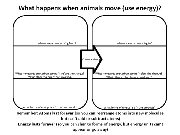 What happens when animals move (use energy)? Where atoms moving to? Where atoms moving