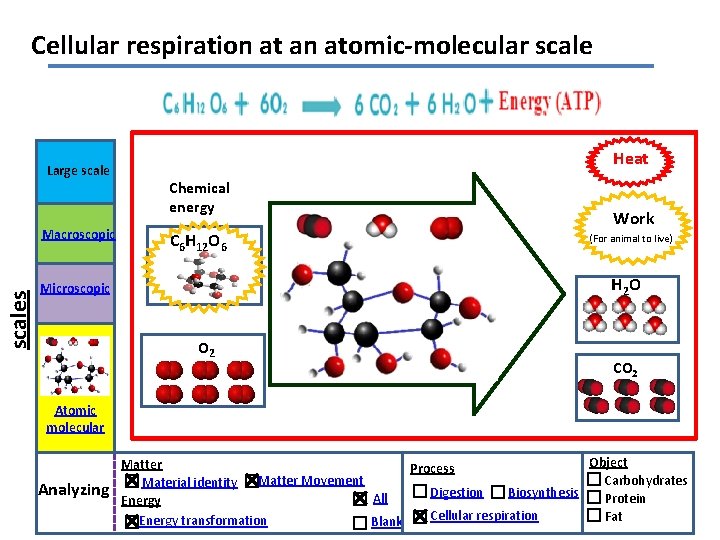 Cellular respiration at an atomic-molecular scale Large scales Macroscopic Heat Chemical energy C 6