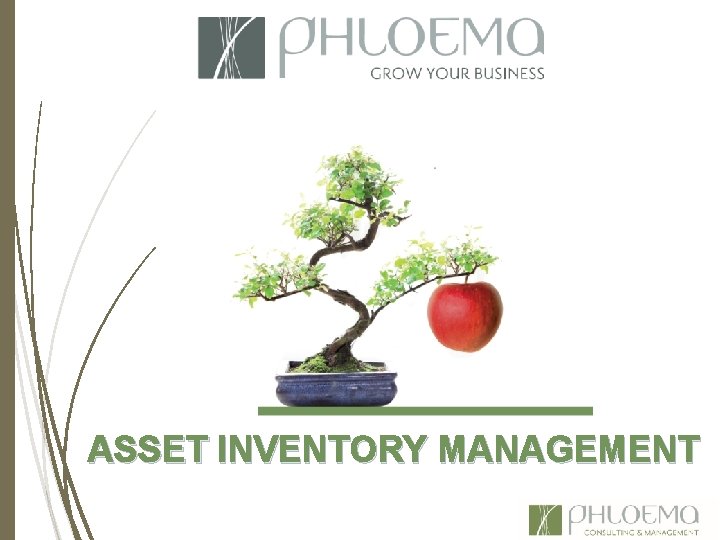 ASSET INVENTORY MANAGEMENT 