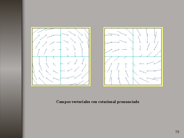 Campos vectoriales con rotacional pronunciado 79 