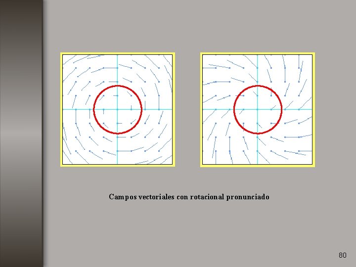 Campos vectoriales con rotacional pronunciado 80 