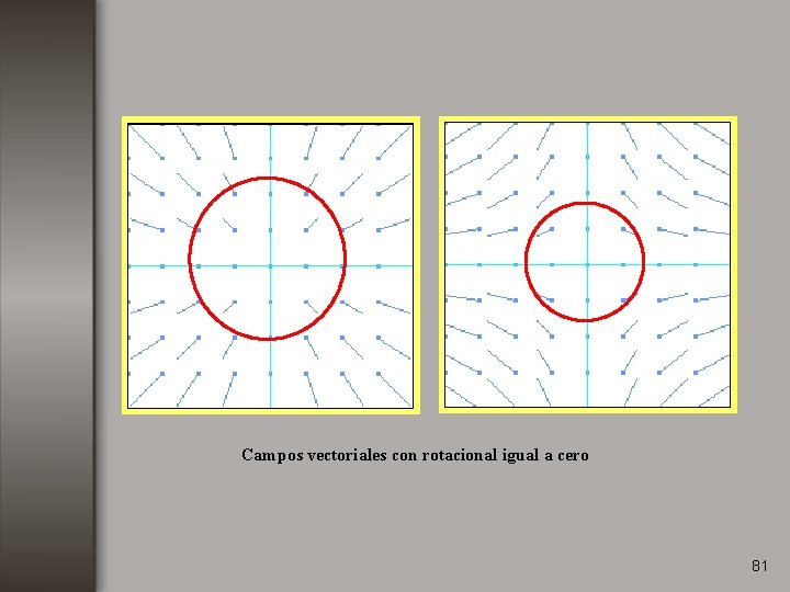 Campos vectoriales con rotacional igual a cero 81 