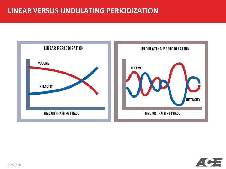 LINEAR VERSUS UNDULATING PERIODIZATION © 2014 ACE LINEAR VERSUS UNDULATING PERIODIZATION © 2014 ACE