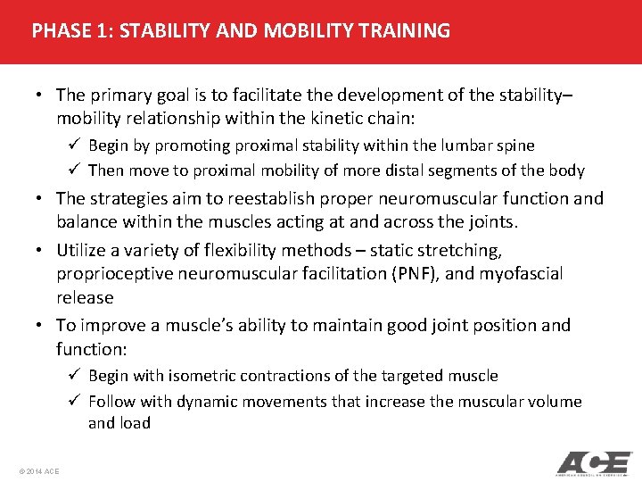 PHASE 1: STABILITY AND MOBILITY TRAINING • The primary goal is to facilitate the PHASE 1: STABILITY AND MOBILITY TRAINING • The primary goal is to facilitate the