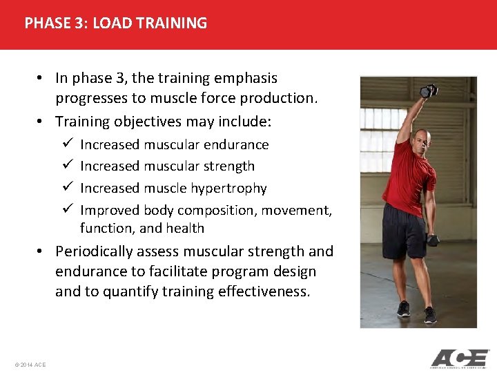 PHASE 3: LOAD TRAINING • In phase 3, the training emphasis progresses to muscle PHASE 3: LOAD TRAINING • In phase 3, the training emphasis progresses to muscle