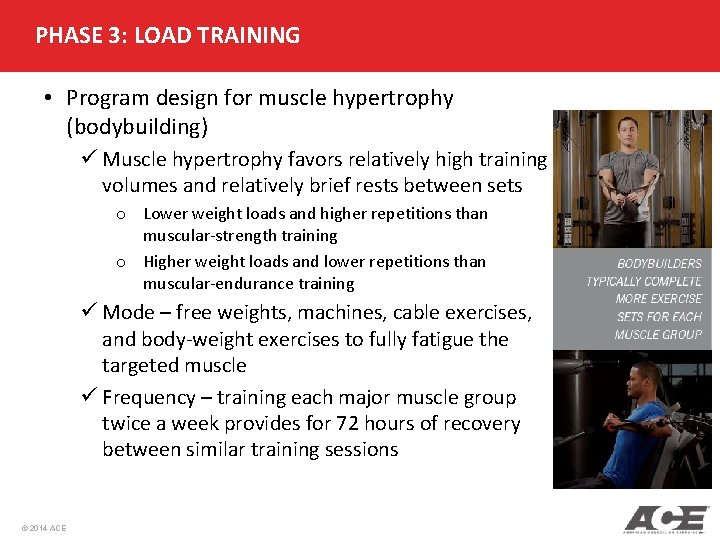 PHASE 3: LOAD TRAINING • Program design for muscle hypertrophy (bodybuilding) ü Muscle hypertrophy PHASE 3: LOAD TRAINING • Program design for muscle hypertrophy (bodybuilding) ü Muscle hypertrophy