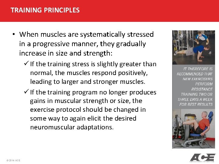 TRAINING PRINCIPLES • When muscles are systematically stressed in a progressive manner, they gradually TRAINING PRINCIPLES • When muscles are systematically stressed in a progressive manner, they gradually