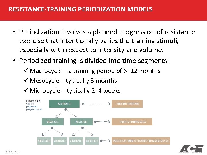 RESISTANCE-TRAINING PERIODIZATION MODELS • Periodization involves a planned progression of resistance exercise that intentionally RESISTANCE-TRAINING PERIODIZATION MODELS • Periodization involves a planned progression of resistance exercise that intentionally