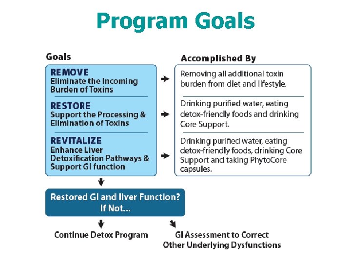 Program Goals 