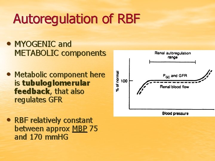 Autoregulation of RBF • MYOGENIC and METABOLIC components • Metabolic component here is tubuloglomerular