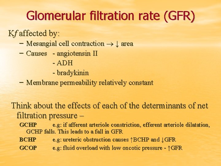 Glomerular filtration rate (GFR) Kf affected by: – Mesangial cell contraction ↓ area –