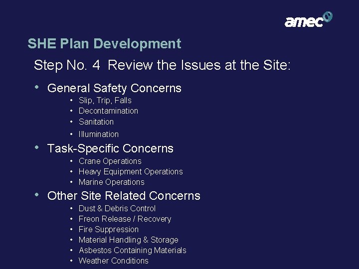 SHE Plan Development Step No. 4 Review the Issues at the Site: • General