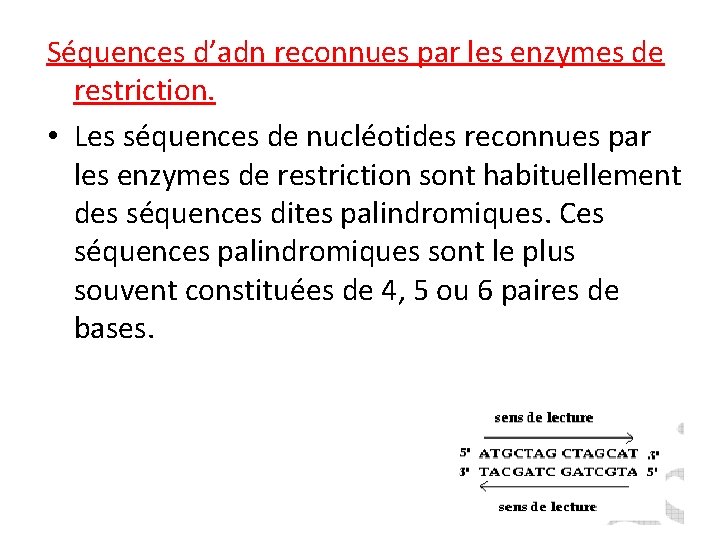 Séquences d’adn reconnues par les enzymes de restriction. • Les séquences de nucléotides reconnues