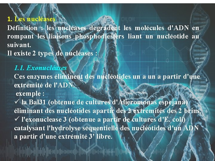 1. Les nucléases Définition : les nucléases dégradent les molécules d'ADN en rompant les