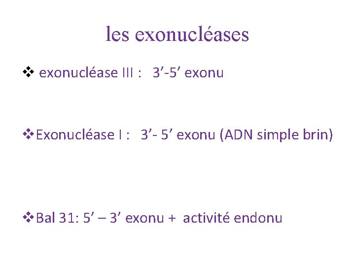 les exonucléases v exonucléase III : 3’-5’ exonu v. Exonucléase I : 3’- 5’