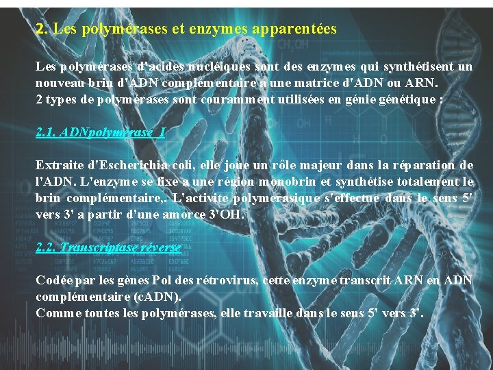 2. Les polymérases et enzymes apparentées Les polymérases d'acides nucléiques sont des enzymes qui