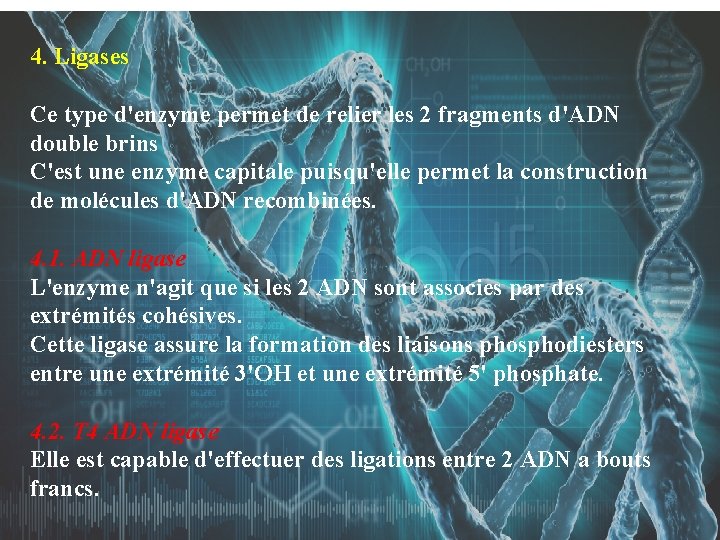 4. Ligases Ce type d'enzyme permet de relier les 2 fragments d'ADN double brins