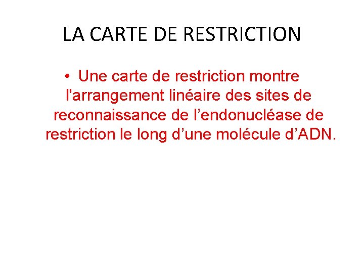 LA CARTE DE RESTRICTION • Une carte de restriction montre l'arrangement linéaire des sites