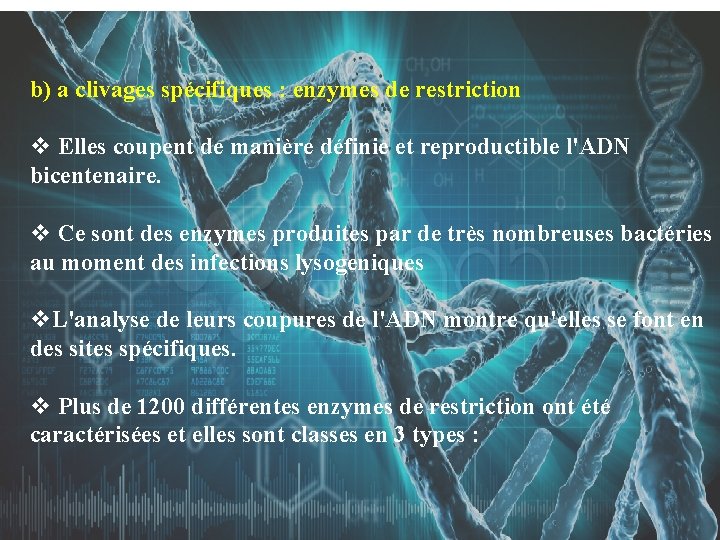 b) a clivages spécifiques : enzymes de restriction v Elles coupent de manière définie