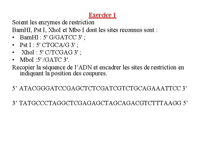 Exercice 1 Soient les enzymes de restriction Bam. HI, Pst I, Xho. I et