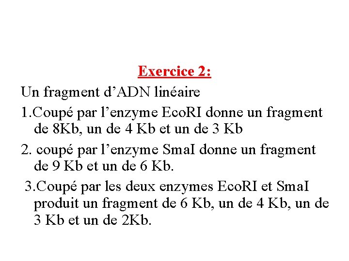 Exercice 2: Un fragment d’ADN linéaire 1. Coupé par l’enzyme Eco. RI donne un