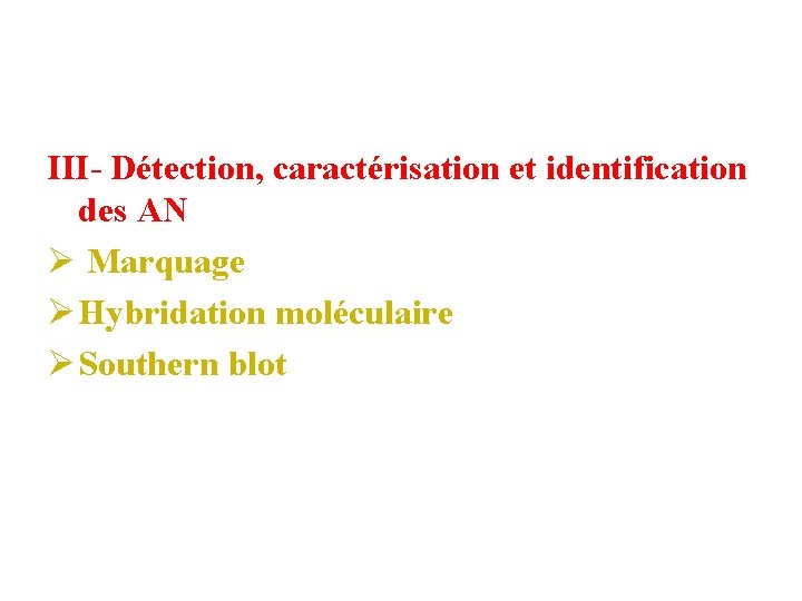 III- Détection, caractérisation et identification des AN Ø Marquage Ø Hybridation moléculaire Ø Southern