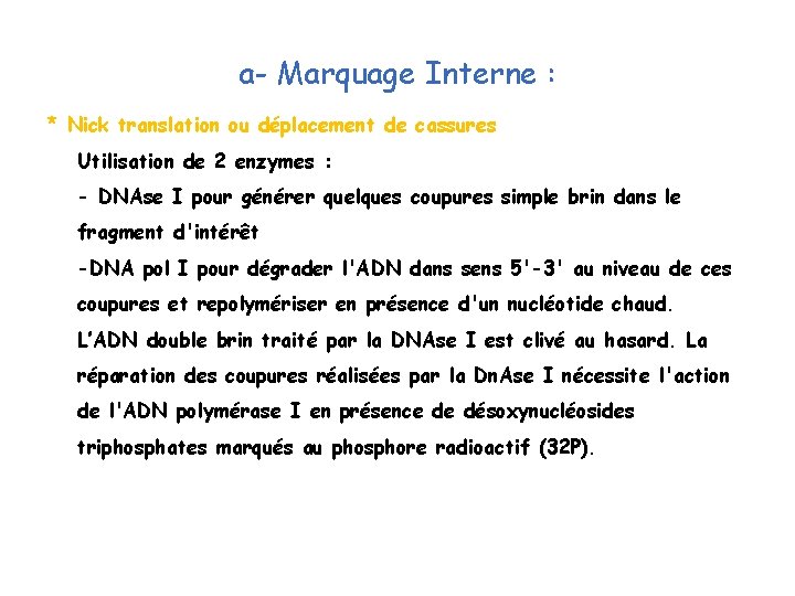 a- Marquage Interne : * Nick translation ou déplacement de cassures Utilisation de 2